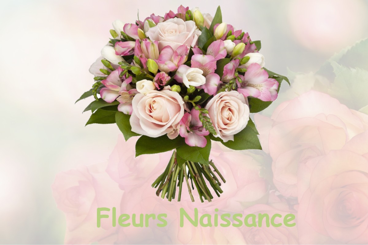fleurs naissance TOUSSUS-LE-NOBLE