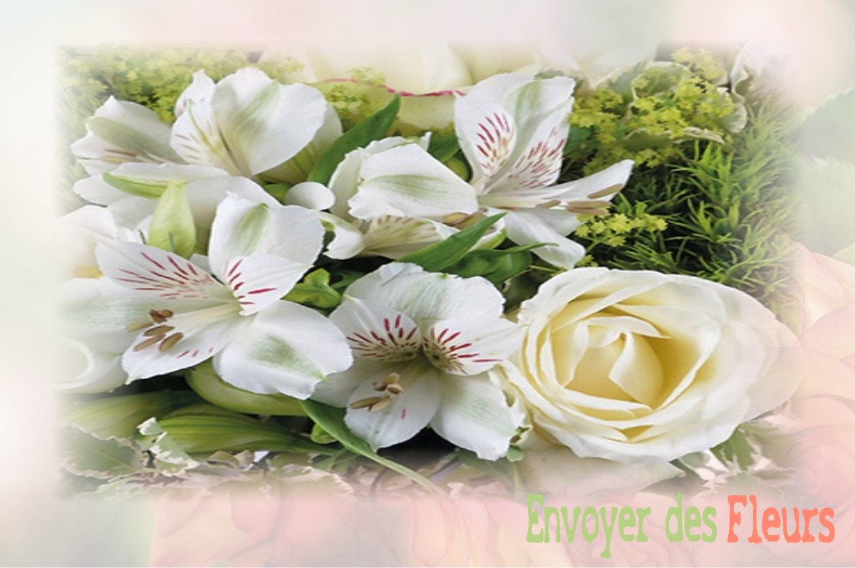 envoyer des fleurs à à TOUSSUS-LE-NOBLE